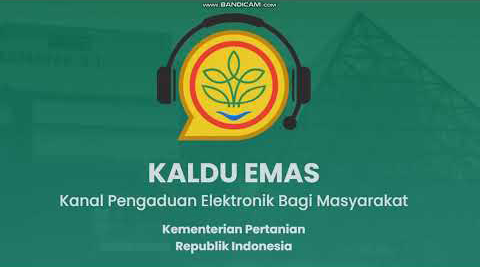 Kaldu Emas